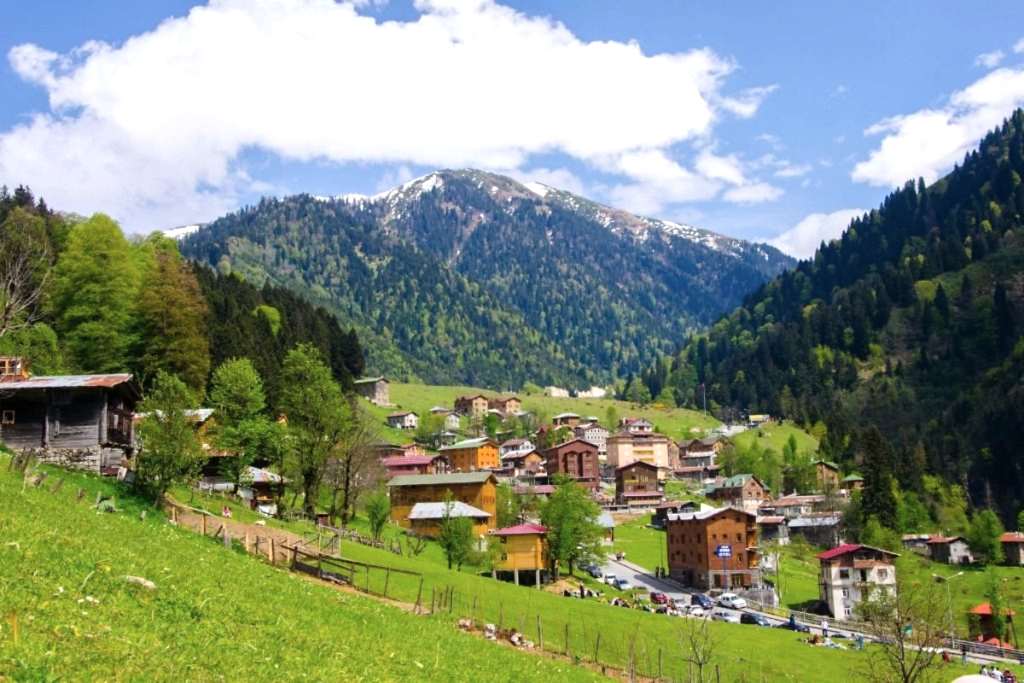 Ayder