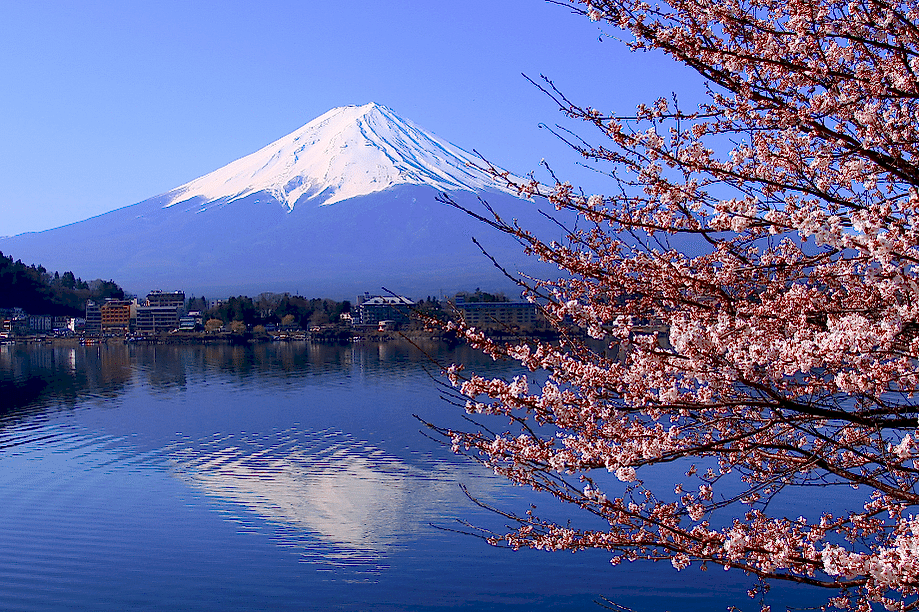fuji dağı